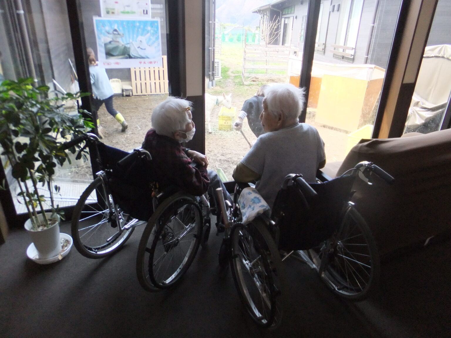 車いすの高齢入居者が共用スペースで外の景色を眺めている様子